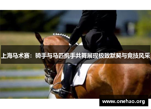 上海马术赛：骑手与马匹携手共舞展现极致默契与竞技风采