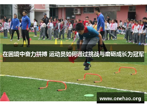 在困境中奋力拼搏 运动员如何通过挑战与磨砺成长为冠军