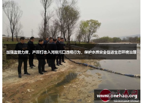 加强监管力度，严厉打击入河排污口违规行为，保护水质安全促进生态环境治理