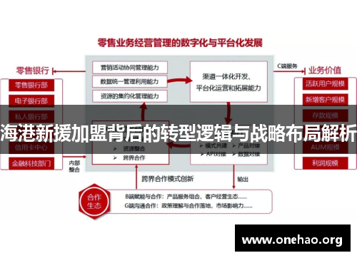 海港新援加盟背后的转型逻辑与战略布局解析