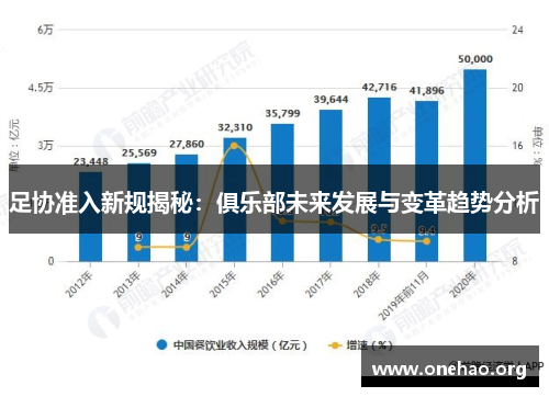 足协准入新规揭秘：俱乐部未来发展与变革趋势分析