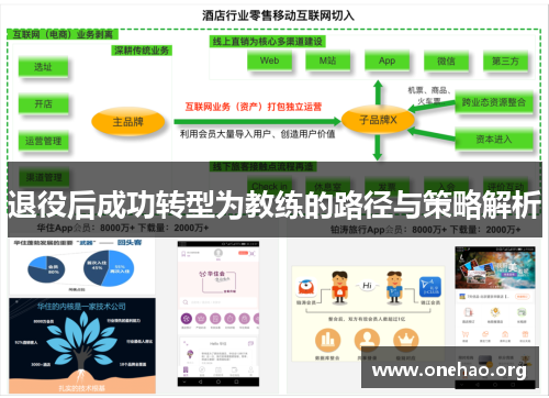 退役后成功转型为教练的路径与策略解析